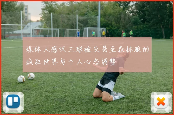 媒体人感叹三球被交易至森林狼的疯狂世界与个人心态调整